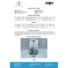 Clenbutos 40 mcg (Clenbuterolo) – Compra Online | Driada Medical | DriadaShop