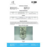 S23 Mastorin 10mg – Compra Originale | Driada Medical Italia | DriadaShop