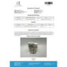 Mentolad 50 mg/ml (Trestolone Acetate) 10ml – Acquista | Driada Medical | DriadaShop